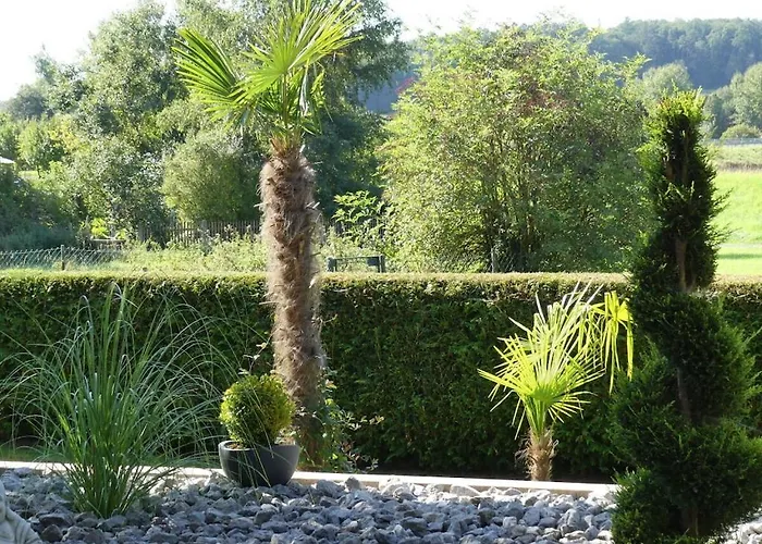 With 2 Bedrooms Hébergement de vacances Ahrdt