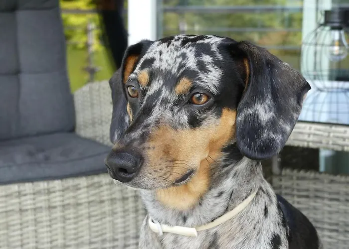 Дом отдыха With 2 Bedrooms *